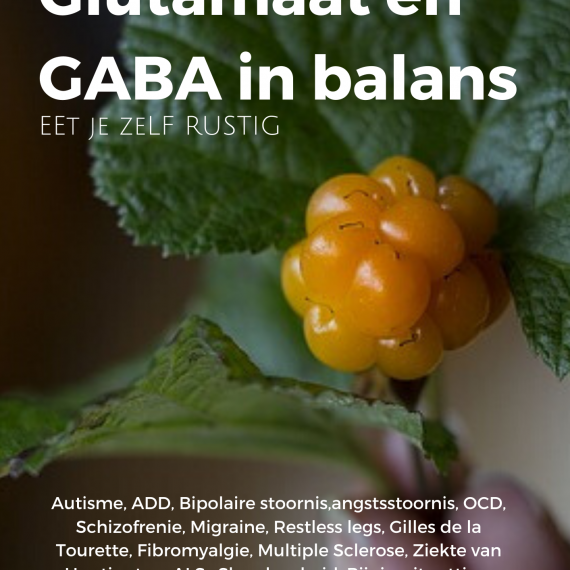 Cover-Glutamaat-en-GABA-in-Balans